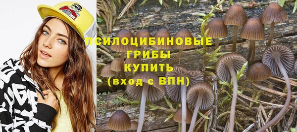 спайс Абинск